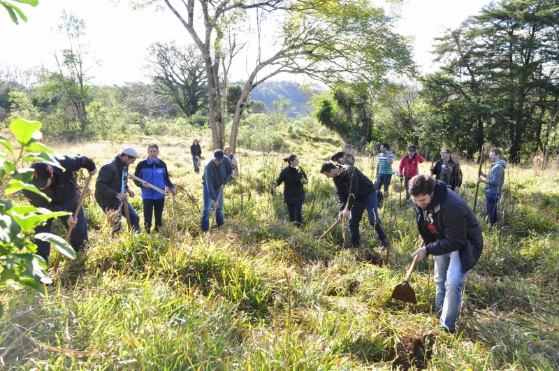 Jesmo realiza plantio de árvores do projeto Carbono Zero